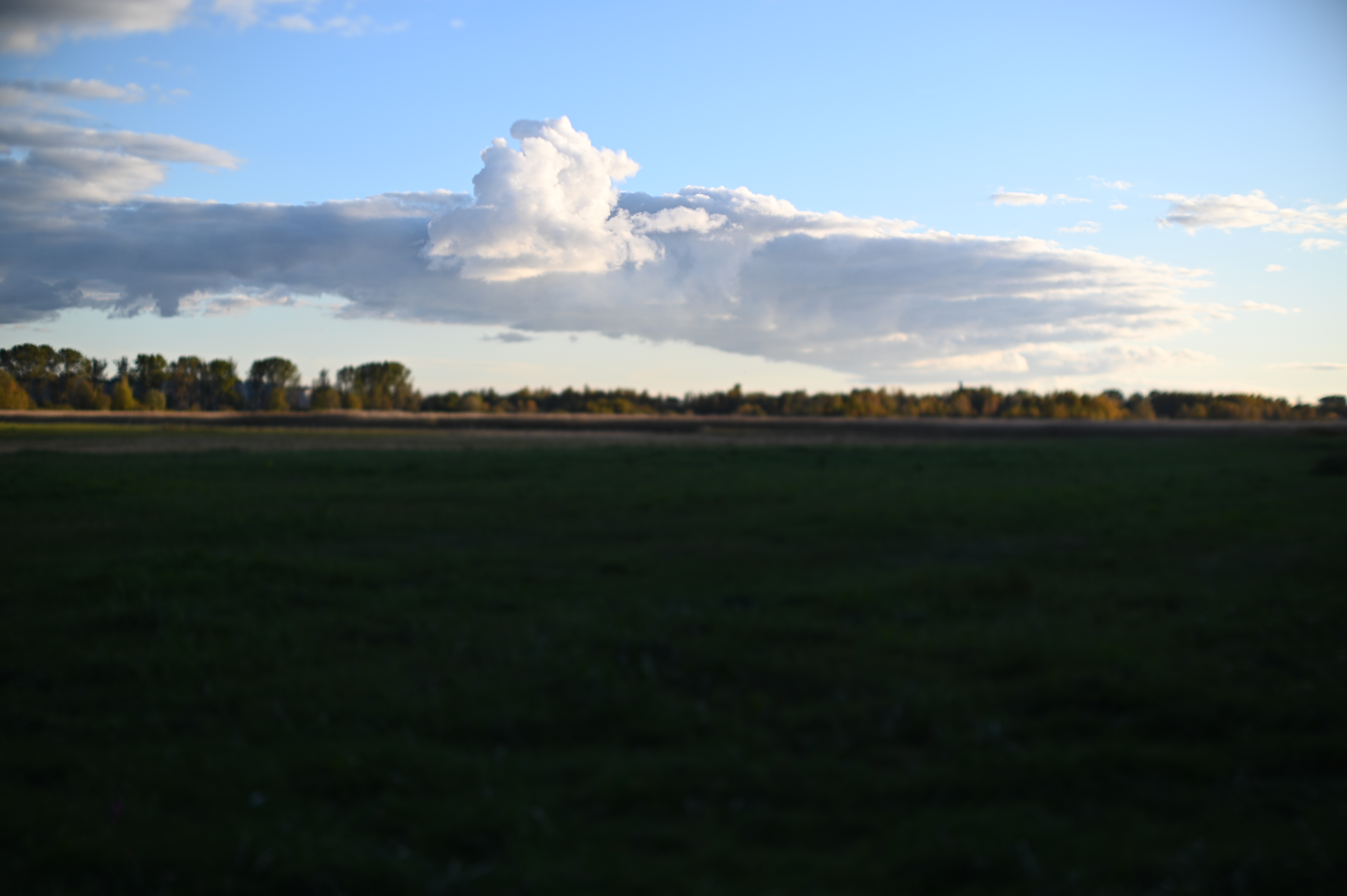 2025/10/18 - walk/DSC_0196.JPG